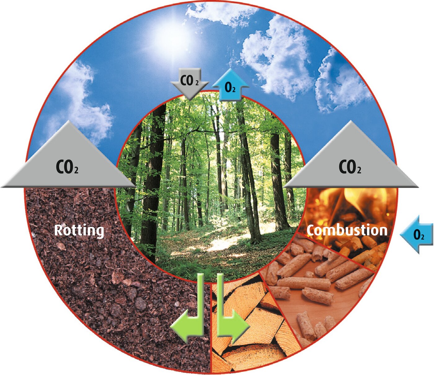 Biomass balance